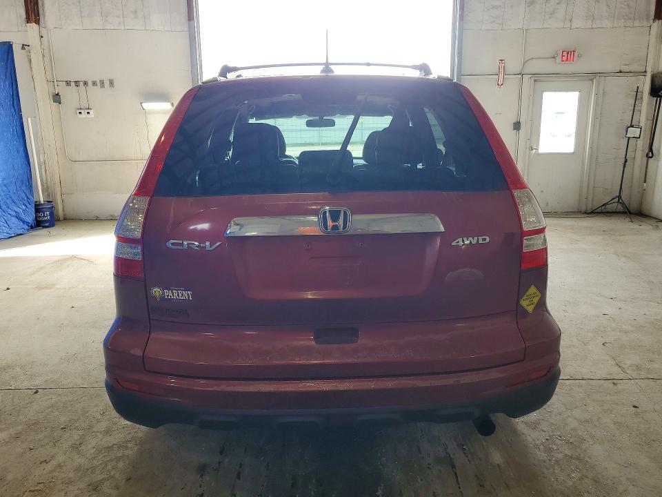 55558266 :رقم المزاد ، 5J6RE4H77AL014506 vin ، 2010 Honda Cr-v مزاد بيع