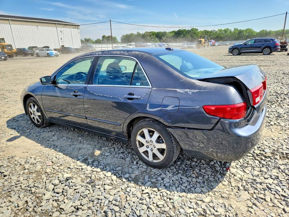 Продаж на аукціоні авто 2005 Honda Accord, vin: 1HGCM66595A009631, номер лоту: 54826156