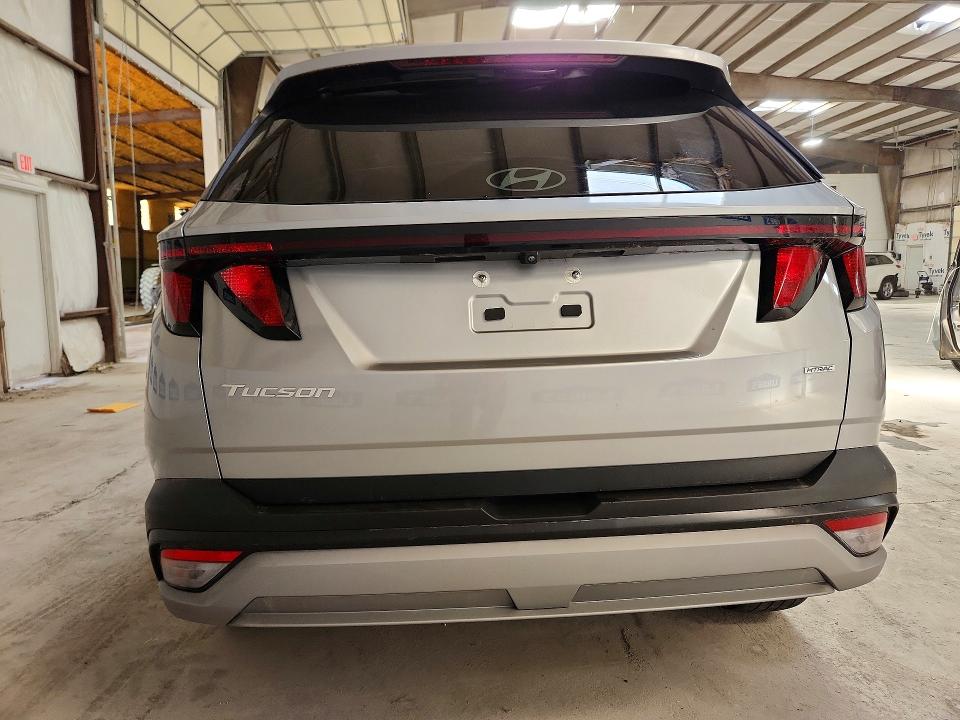 Продажа на аукционе авто 2025 Hyundai Tucson, vin: 5NMJBCDE3SH506446, номер лота: 56799216