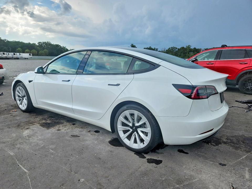 58900496 :رقم المزاد ، 5YJ3E1EA5PF494955 vin ، 2023 Tesla Model 3 مزاد بيع