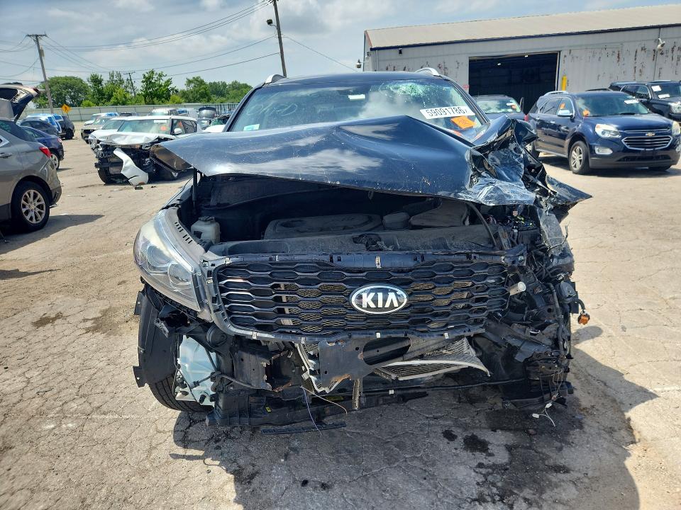 Продаж на аукціоні авто 2019 Kia Sorento, vin: 5XYPG4A31KG596601, номер лоту: 59091786
