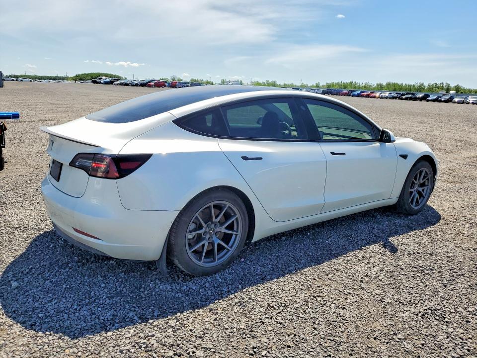 55979386 :رقم المزاد ، 5YJ3E1EA3PF493108 vin ، 2023 Tesla Model 3 مزاد بيع