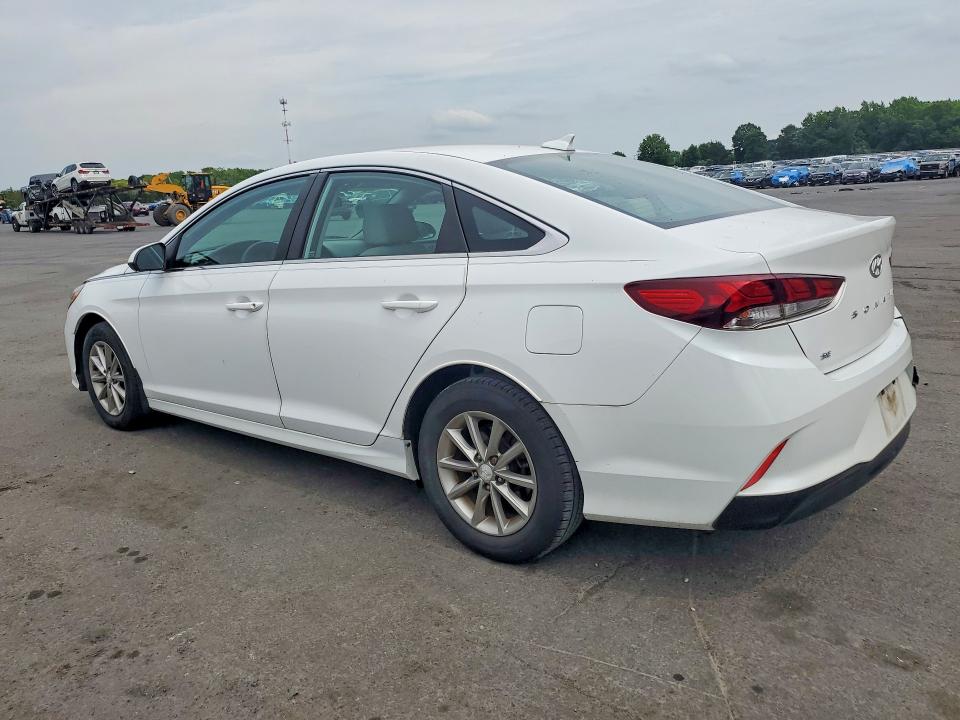 Продаж на аукціоні авто 2019 Hyundai Sonata, vin: 5NPE24AF0KH802225, номер лоту: 59065266