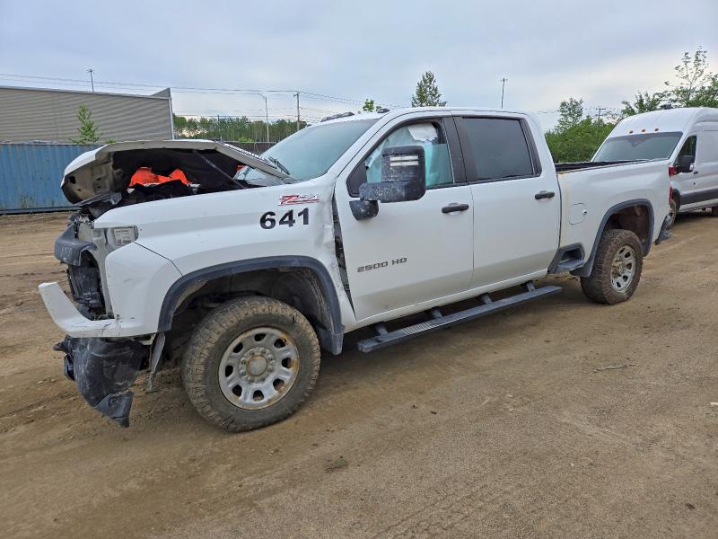 57842636 :رقم المزاد ، 1GC1YLEY7LF203207 vin ، 2020 Chevrolet Silverado مزاد بيع