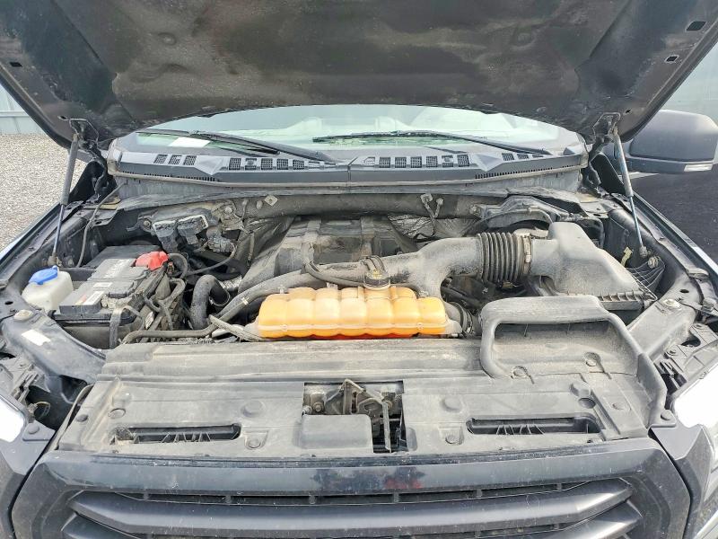 Продаж на аукціоні авто 2016 Ford F150, vin: 1FTEW1EP1GFC92166, номер лоту: 57672726