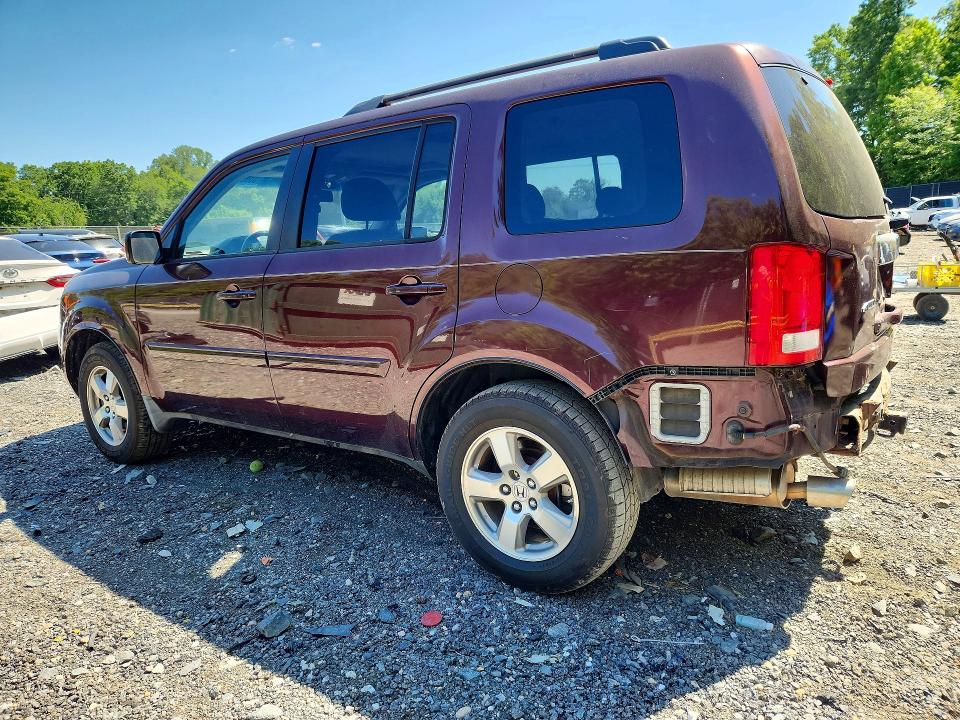 Продаж на аукціоні авто 2009 Honda Pilot, vin: 5FNYF48589B028068, номер лоту: 55982246