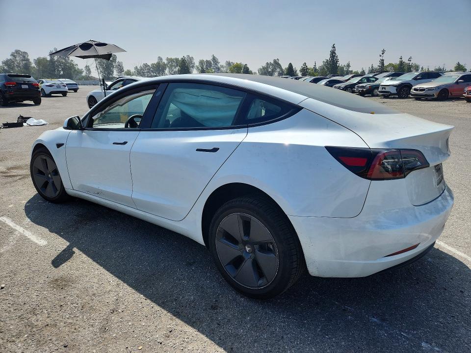 Продажа на аукционе авто 2023 Tesla Model 3, vin: 5YJ3E1EA4PF599020, номер лота: 58287136