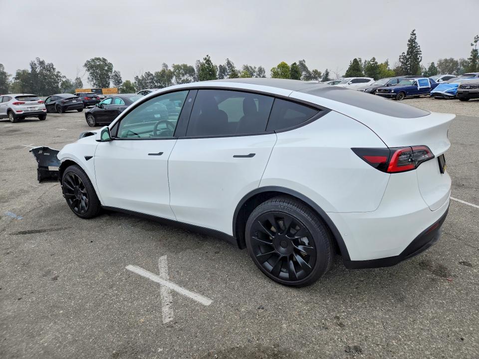 55805276 :رقم المزاد ، 5YJYGDED7MF125909 vin ، 2021 Tesla Model Y مزاد بيع