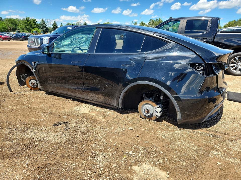 Продаж на аукціоні авто 2022 Tesla Model Y, vin: 7SAYGDEE3NF387455, номер лоту: 57132506