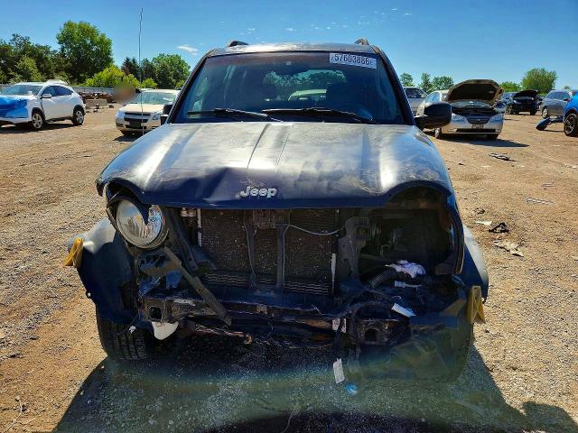 2004 Jeep Liberty მანქანა იყიდება აუქციონზე, vin: 1J4GL48K54W259616, აუქციონის ნომერი: 57603886