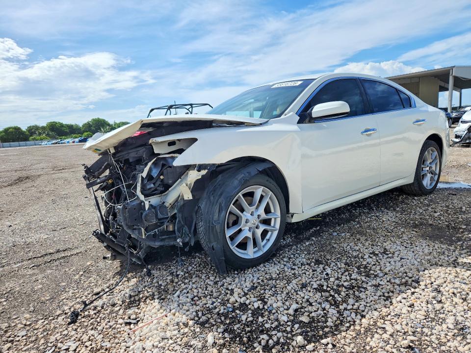 2013 Nissan Maxima მანქანა იყიდება აუქციონზე, vin: 1N4AA5AP0DC833303, აუქციონის ნომერი: 55616726