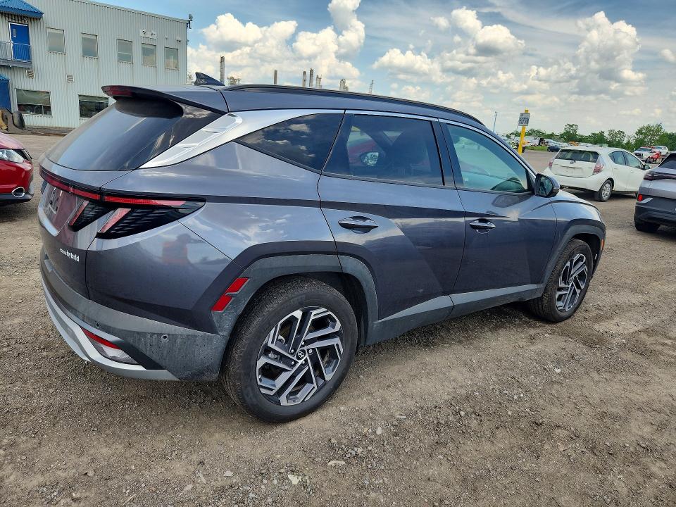 58731866 :رقم المزاد ، KM8JCDD16SU388915 vin ، 2025 Hyundai Tucson مزاد بيع