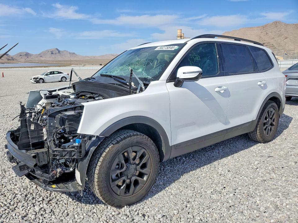 Auction sale of the 2025 Kia Telluride, vin: 5XYP5DGC8SG678774, lot number: 56275846