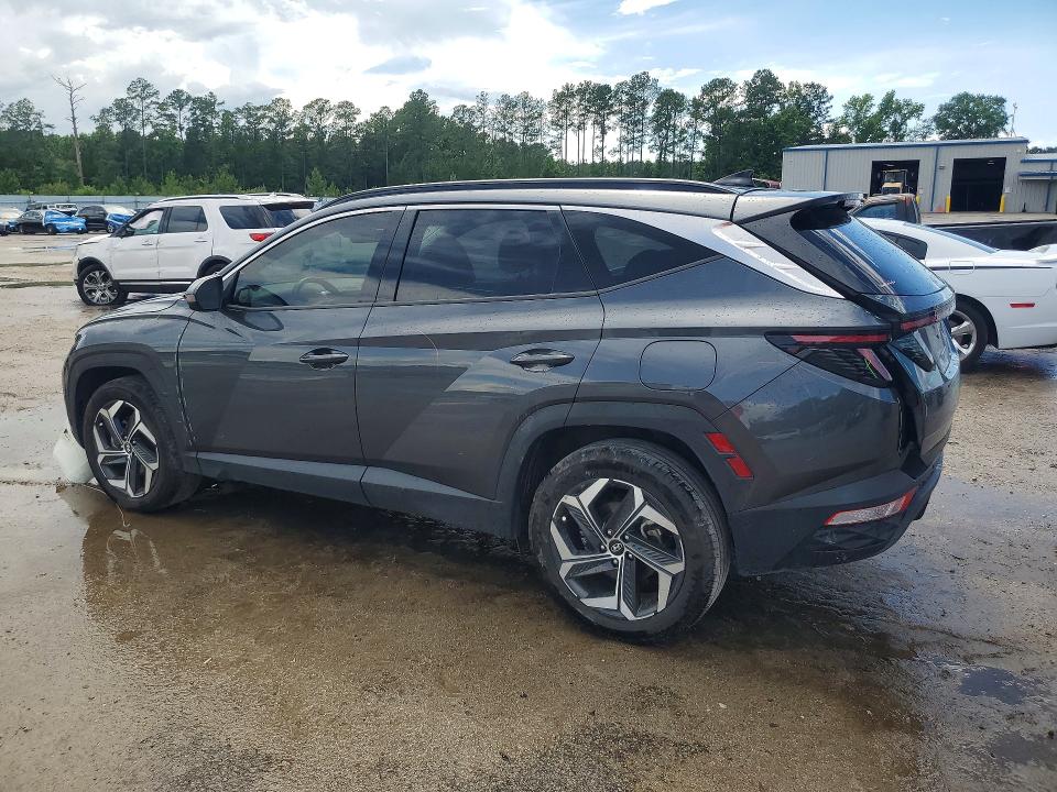 Продаж на аукціоні авто 2024 Hyundai Tucson, vin: 5NMJECDE8RH331192, номер лоту: 57248666