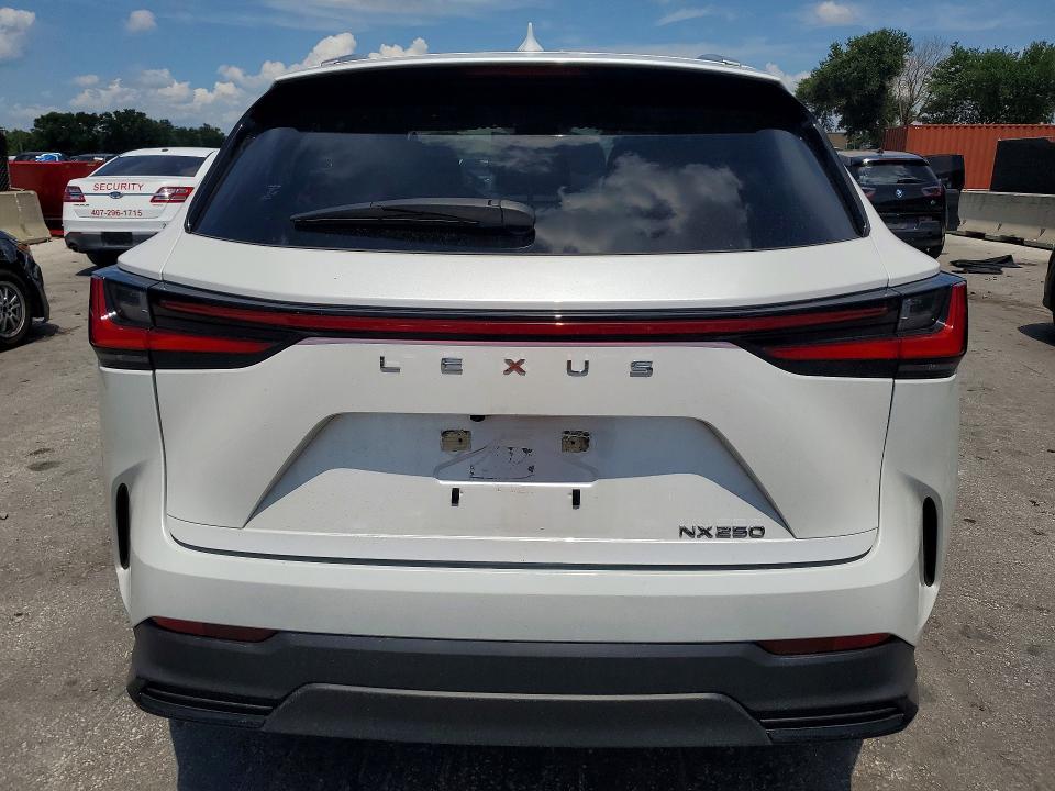 Aukcja sprzedaży 2024 Lexus Nx 250, vin: JTJADCAZ6R5014246, numer aukcji: 57867246