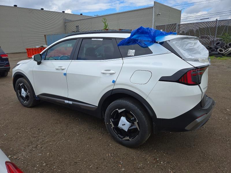 Aukcja sprzedaży 2026 Kia Sportage, vin: KNDPVCDF8T7481790, numer aukcji: 56396666
