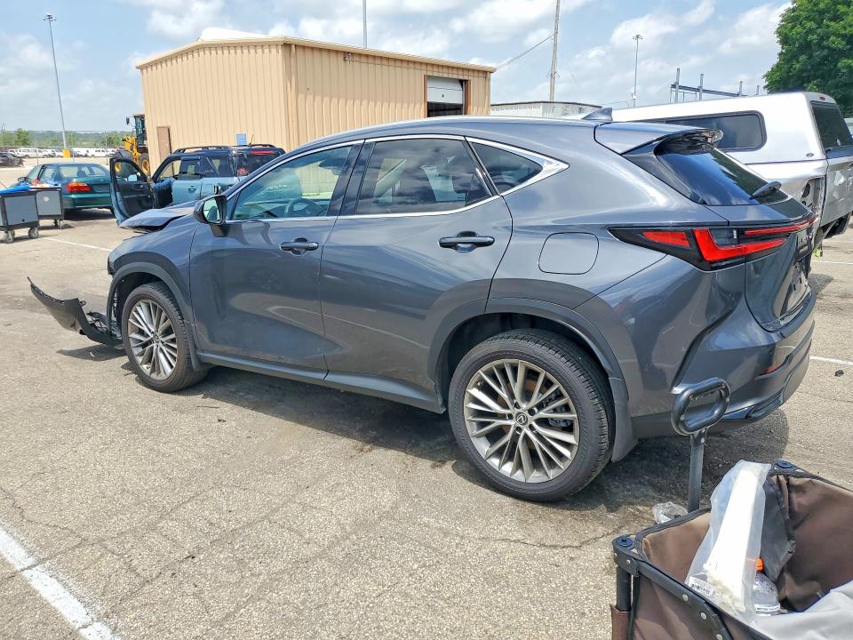 2023 Lexus Nx მანქანა იყიდება აუქციონზე, vin: 2T2GKCEZ2PC012339, აუქციონის ნომერი: 59052986
