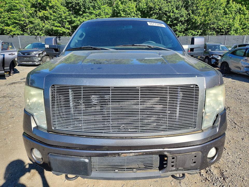 Продаж на аукціоні авто 2010 Ford F150, vin: 1FTFX1EV1AFC76055, номер лоту: 55775286