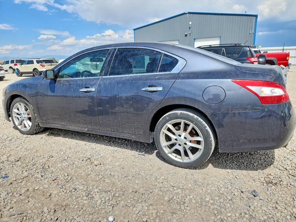 Продажа на аукционе авто 2010 Nissan Maxima, vin: 1N4AA5AP0AC857032, номер лота: 58742346