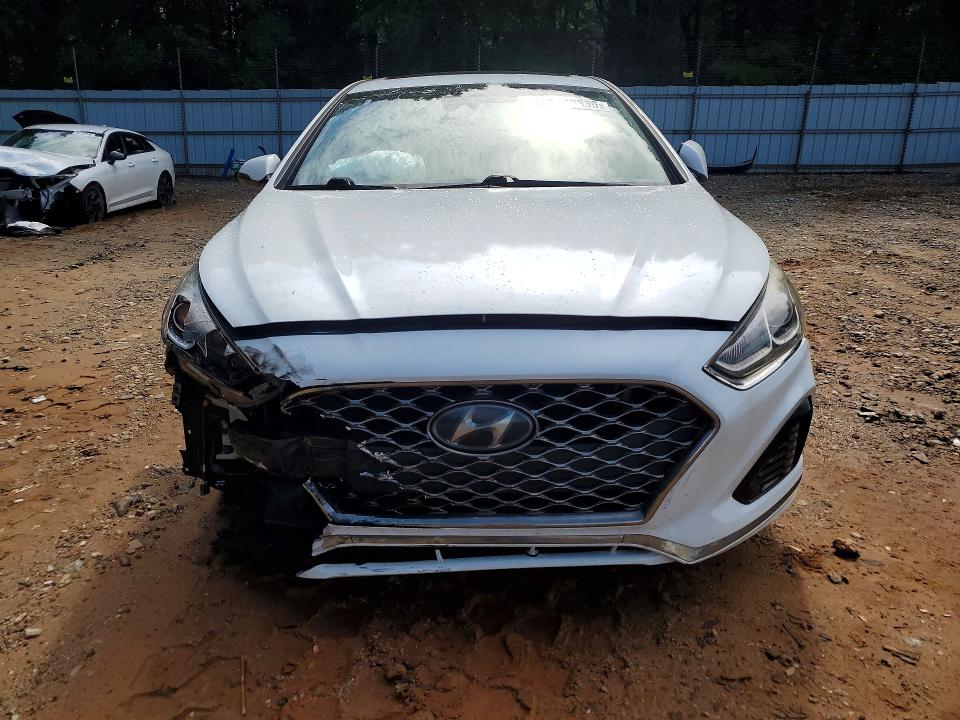 56527336 :رقم المزاد ، 5NPE34AF0KH774536 vin ، 2019 Hyundai Sonata مزاد بيع