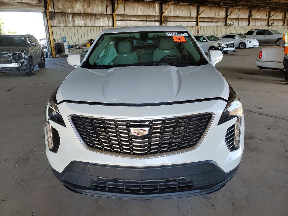 55644966 :رقم المزاد ، 1GYAZAR4XKF220830 vin ، 2019 Cadillac Xt4 مزاد بيع