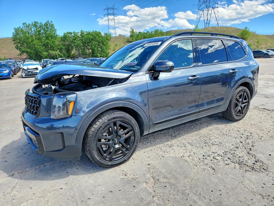 Aukcja sprzedaży 2024 Kia Telluride, vin: 5XYP5DGC1RG436905, numer aukcji: 56684806