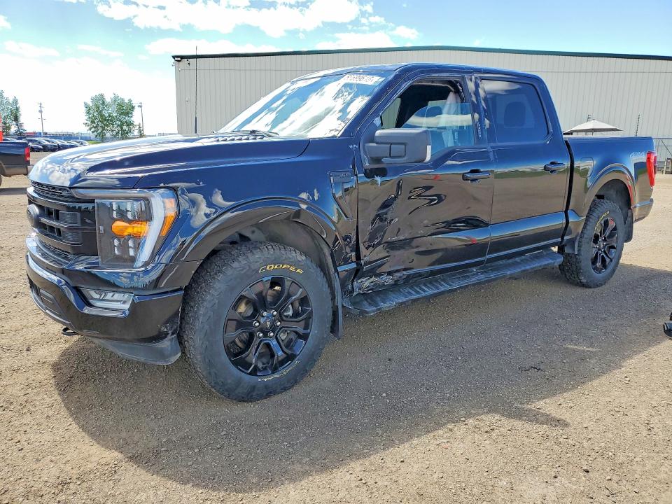 Aukcja sprzedaży 2023 Ford F150, vin: 1FTFW1ED3PFA63515, numer aukcji: 56699616