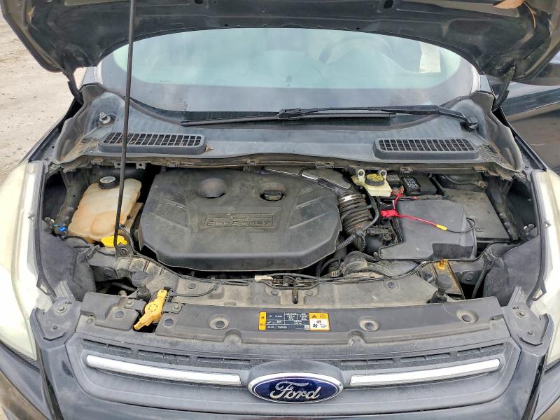 Aukcja sprzedaży 2013 Ford Escape, vin: 1FMCU0G98DUA74282, numer aukcji: 56531526