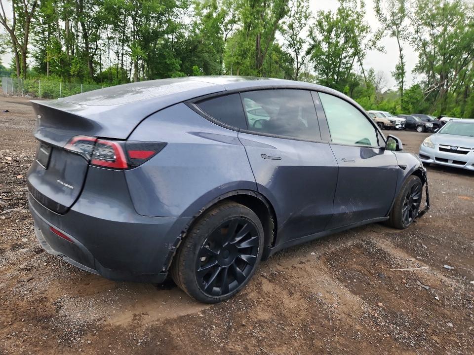 Продаж на аукціоні авто 2023 Tesla Model Y, vin: 7SAYGDEEXPF698951, номер лоту: 57942226
