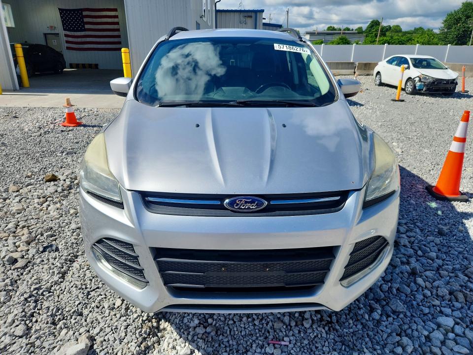 57186276 :رقم المزاد ، 1FMCU0GXXEUC10914 vin ، 2014 Ford Escape مزاد بيع