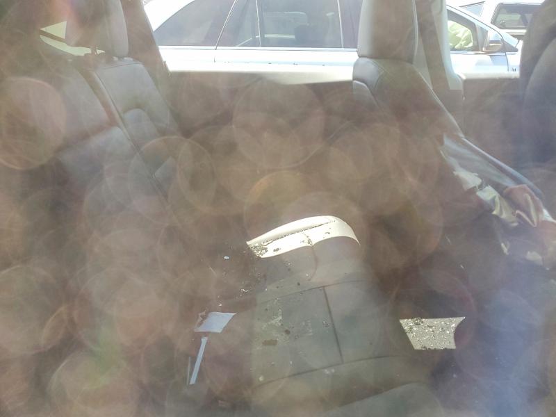 55726716 :رقم المزاد ، 7SAYGDEE1PA136725 vin ، 2023 Tesla Model Y مزاد بيع