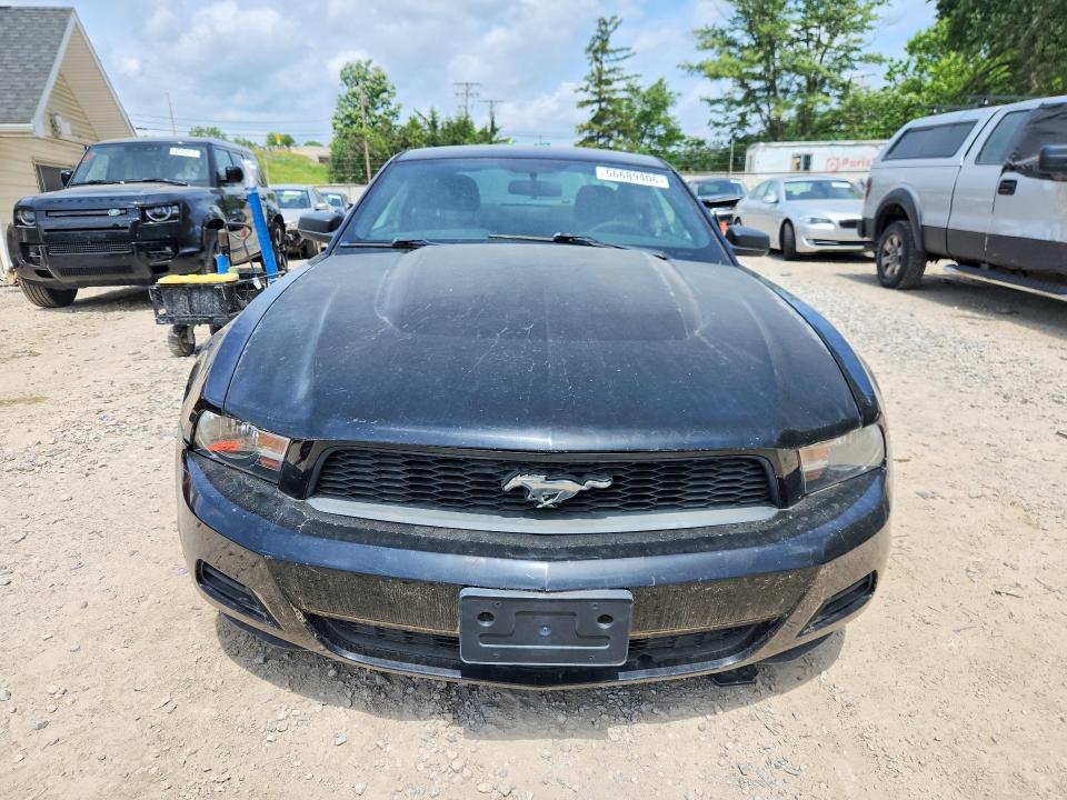 Продаж на аукціоні авто 2010 Ford Mustang, vin: 1ZVBP8AN4A5163183, номер лоту: 56689406