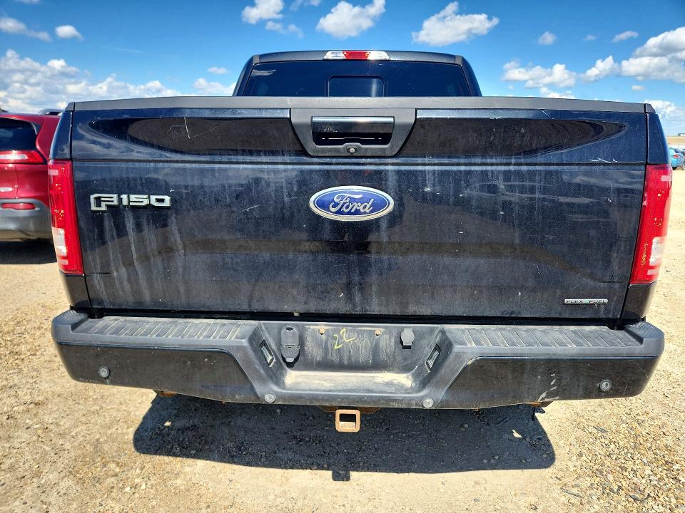 Продажа на аукционе авто 2015 Ford F150, vin: 1FTEW1EF6FKD63648, номер лота: 56447466
