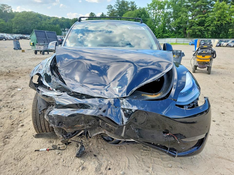 Продаж на аукціоні авто 2024 Tesla Model Y, vin: 7SAYGDEE9RA221654, номер лоту: 59200246