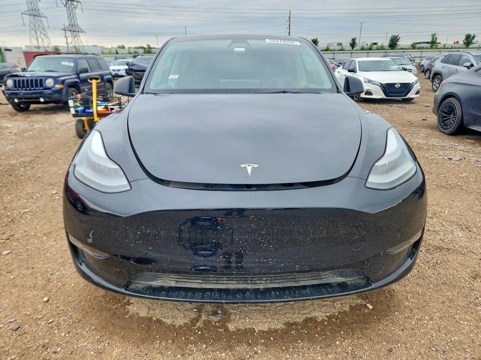 Продаж на аукціоні авто 2023 Tesla Model Y, vin: 7SAYGDEF7PF708666, номер лоту: 55379556