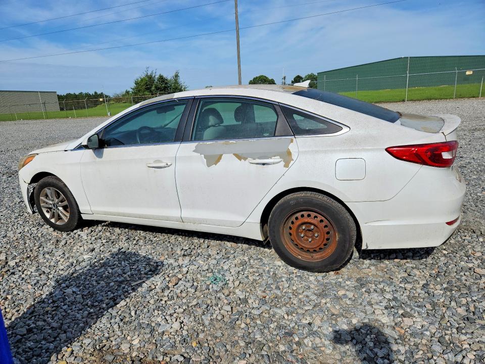 Продаж на аукціоні авто 2017 Hyundai Sonata, vin: 5NPE24AF7HH505767, номер лоту: 55254966