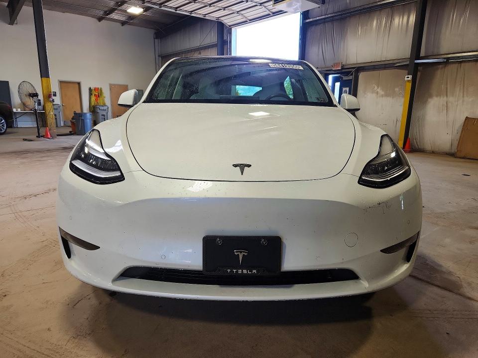 Продаж на аукціоні авто 2021 Tesla Model Y, vin: 5YJYGDED2MF109150, номер лоту: 58419356