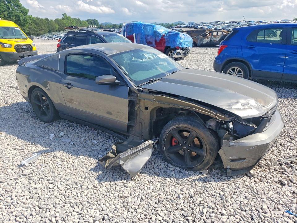 55652356 :رقم المزاد ، 1ZVBP8CH7A5156767 vin ، 2010 Ford Mustang مزاد بيع