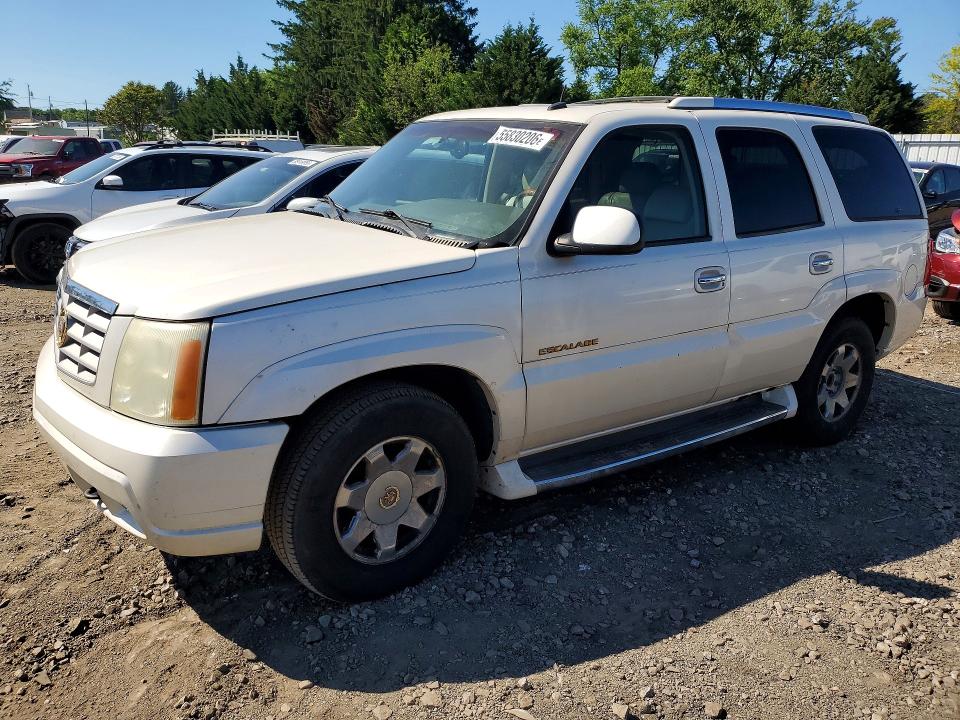 Auction sale of the 2002 Cadillac Escalade, vin: 1GYEK63N82R276686, lot number: 55830206