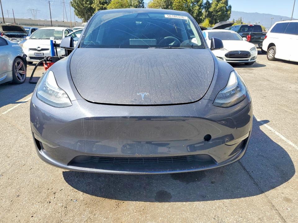 56186376 :رقم المزاد ، 7SAYGDEE3PA122485 vin ، 2023 Tesla Model Y مزاد بيع