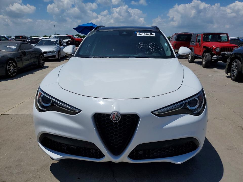 57656246 :رقم المزاد ، ZASPAKAN4K7C51350 vin ، 2019 Alfa Romeo Stelvio مزاد بيع