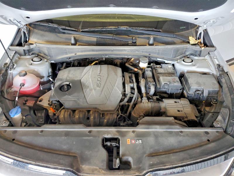 56603096 :رقم المزاد ، 5XYK5CDF6RG168050 vin ، 2024 Kia Sportage مزاد بيع