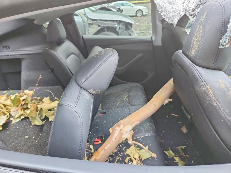 Aukcja sprzedaży 2026 Tesla Model Y, vin: 7SAYGDEE6TF399452, numer aukcji: 58517616