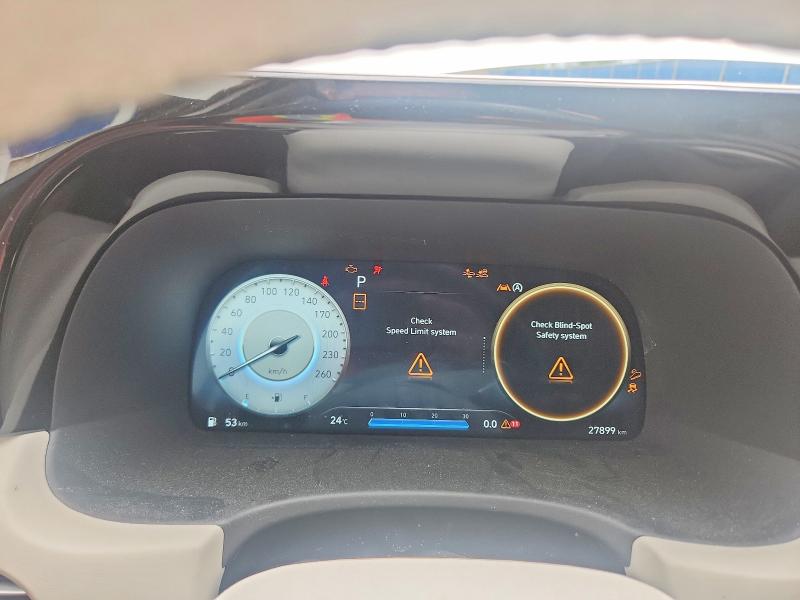 Aukcja sprzedaży 2024 Hyundai Palisade, vin: KM8R5DGE7RU765547, numer aukcji: 57996936