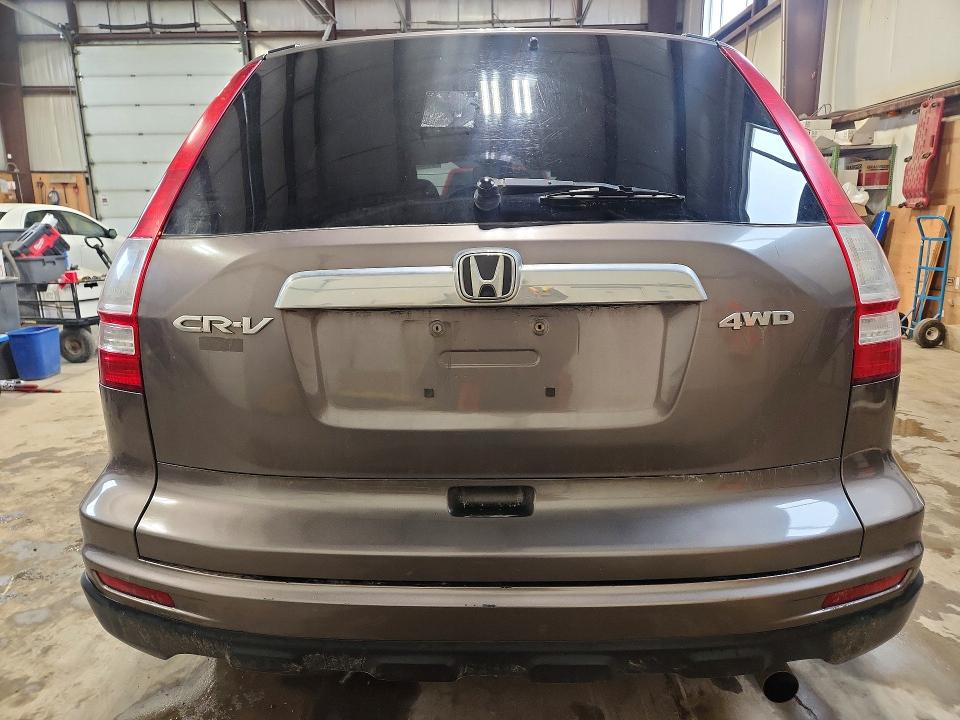 Продаж на аукціоні авто 2011 Honda Cr-v, vin: 5J6RE4H57BL813699, номер лоту: 52899046