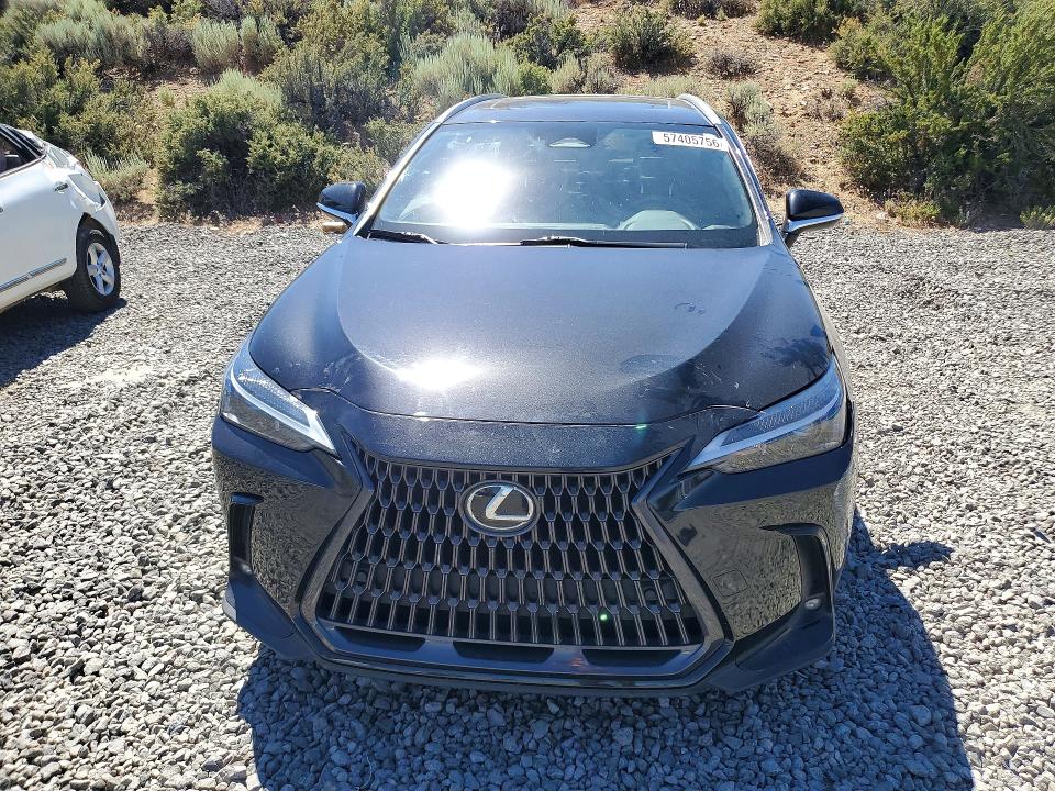 Продаж на аукціоні авто 2023 Lexus Nx, vin: 2T2GGCEZXPC020545, номер лоту: 57405756