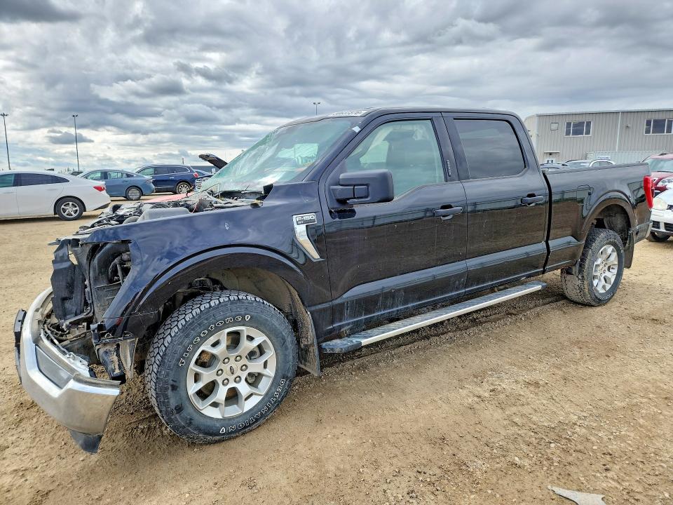Aukcja sprzedaży 2023 Ford F150, vin: 1FTFW1E89PKD53381, numer aukcji: 50637376