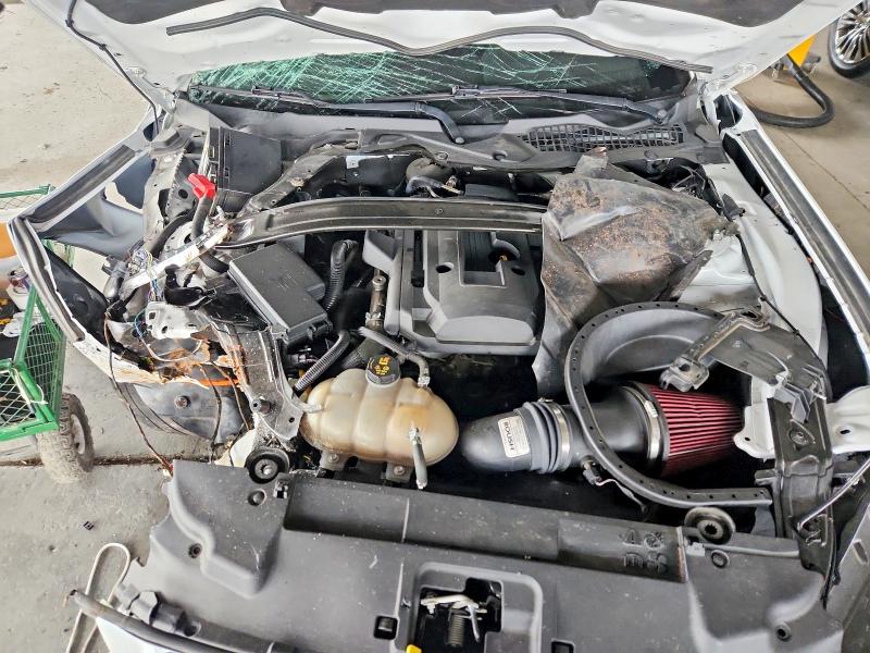 Auction sale of the 2019 Ford Mustang, vin: 1FA6P8TH5K5161316, lot number: 57626106