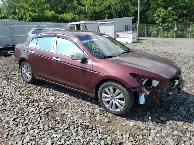 Продаж на аукціоні авто 2011 Honda Accord Exl, vin: 1HGCP3F80BA003390, номер лоту: 58841873