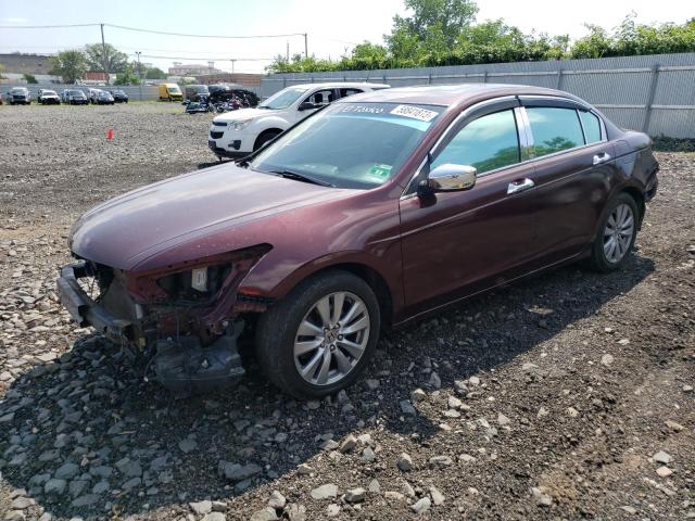 Продаж на аукціоні авто 2011 Honda Accord Exl, vin: 1HGCP3F80BA003390, номер лоту: 58841873